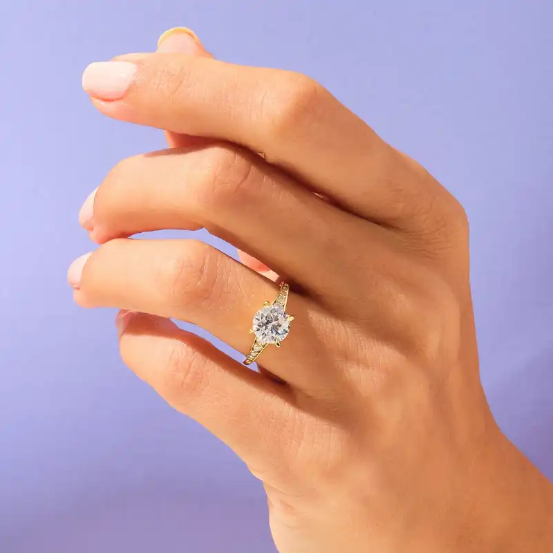 /public/photos/live/251 (1).webp